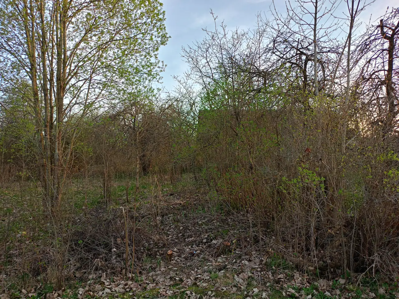 Дом в д. Громницы, фотография 8