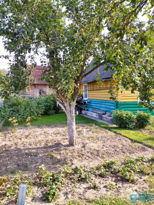 продам дачу, домашаны, фотография 2