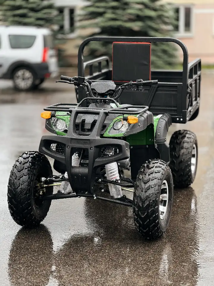 Квадроцикл грузовой atv storm panther, фотография 4