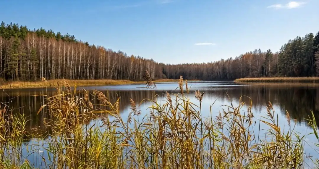 Срочно продам участок, Д. Пруды,Держинского 53 , Столбовский р-н область, фотография 1