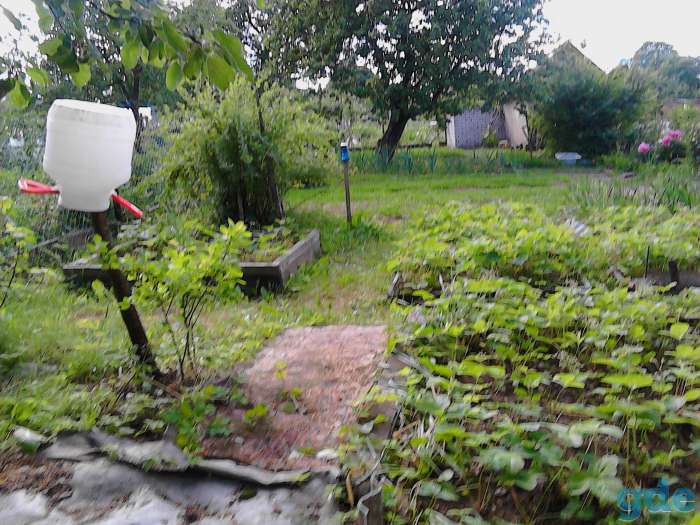 СРОЧНО, громы, фотография 11