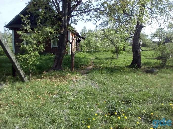 Дом под снос и участок 25 соток для строительства нового дома, фотография 3