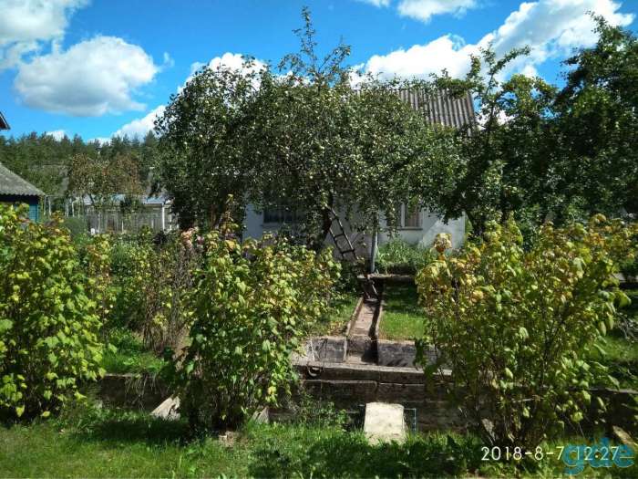 Дача, д.Кордон Вилейский район, фотография 5