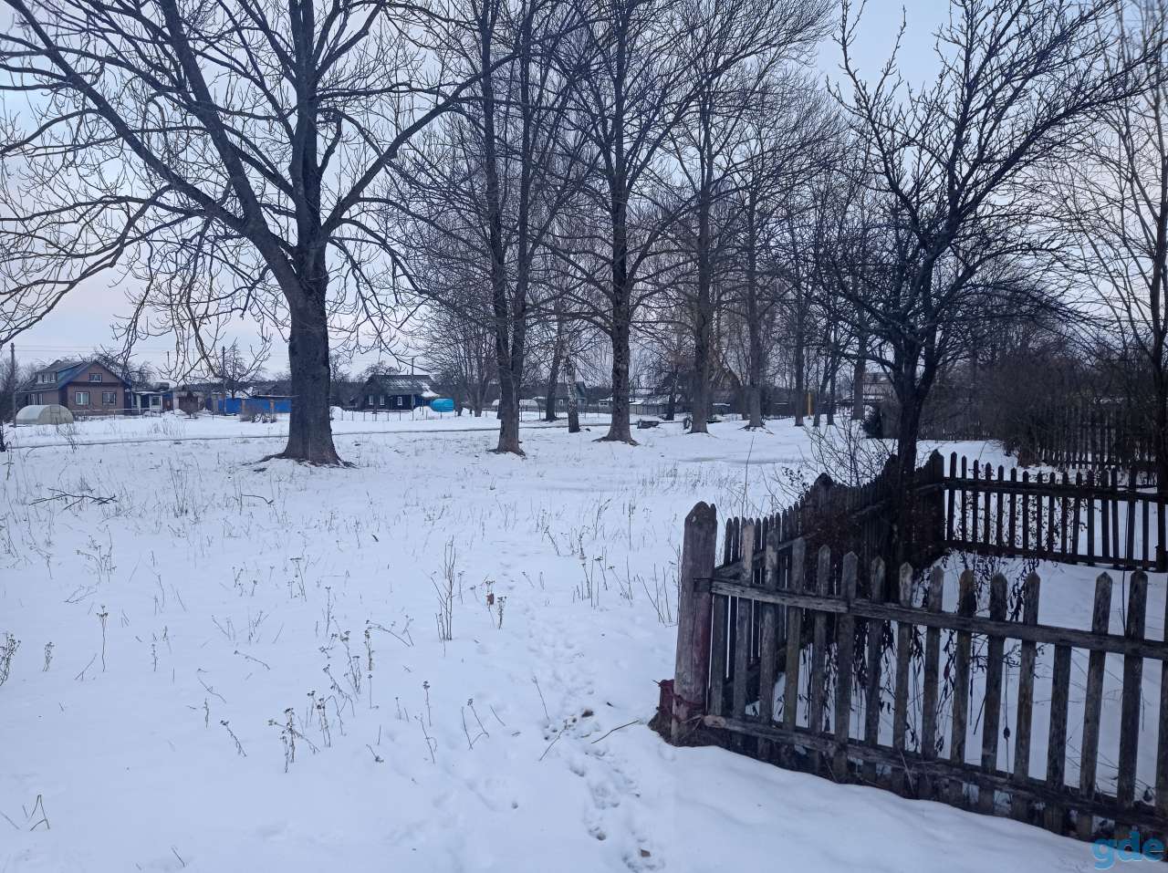 Продам участок (дом под снос), ул. Центральная д.29, фотография 2
