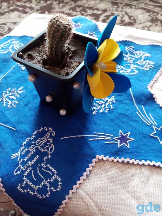 Кактусы, фотография 7