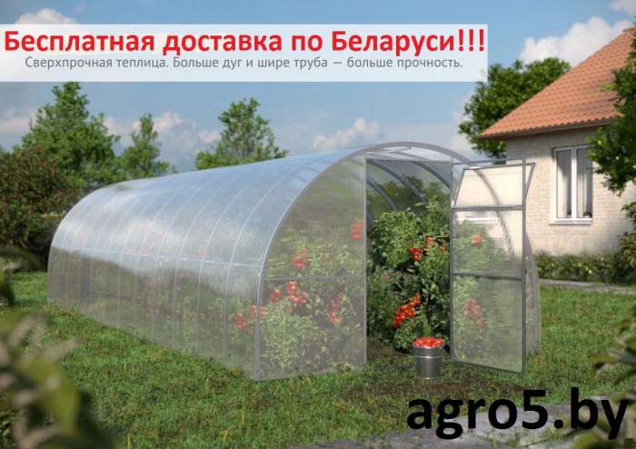 Теплицы из поликарбоната, фотография 5