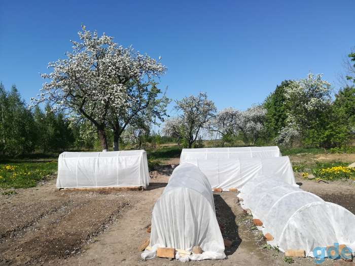 продажа дома, д.рябиновка, фотография 3