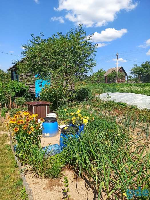 Продам дачу, фотография 3
