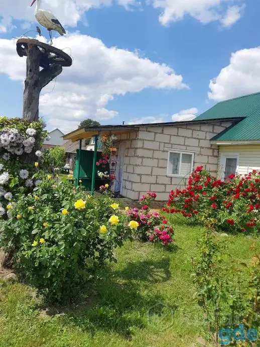 Дом, Копыльский р-н, д.Слобода-кучинка, фотография 1