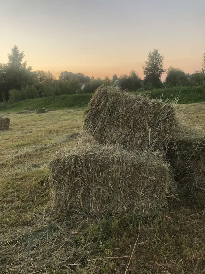 продам сено, фотография 2