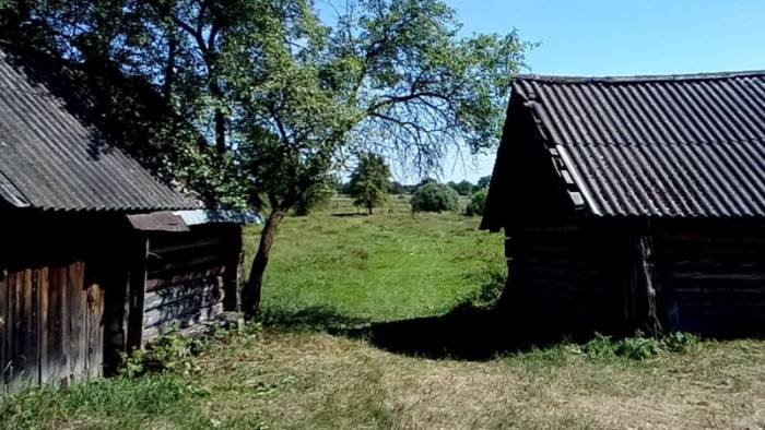 домик в деревне, фотография 5