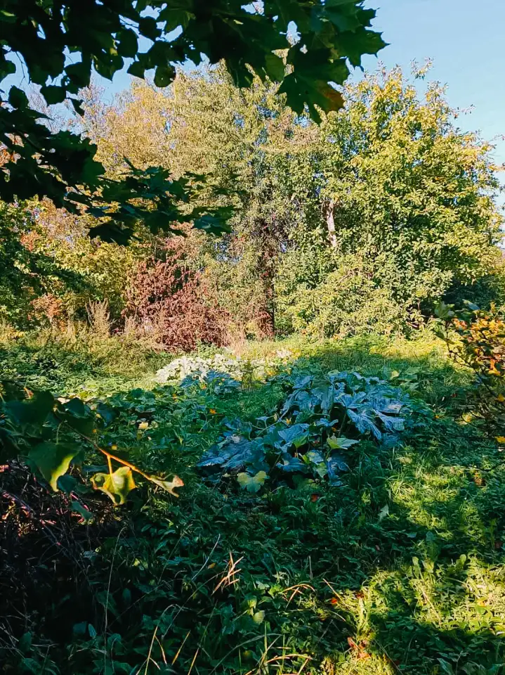 Продам квартиру в блокированном жилом доме, Чапаева, фотография 10