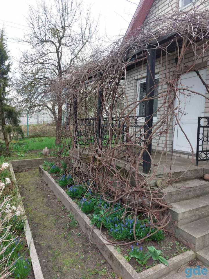 Дача, Гродненская обл. Д.Славичи .Коптёвский район., фотография 6