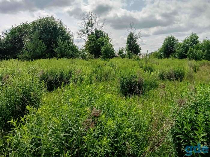 Покос травы, фотография 6