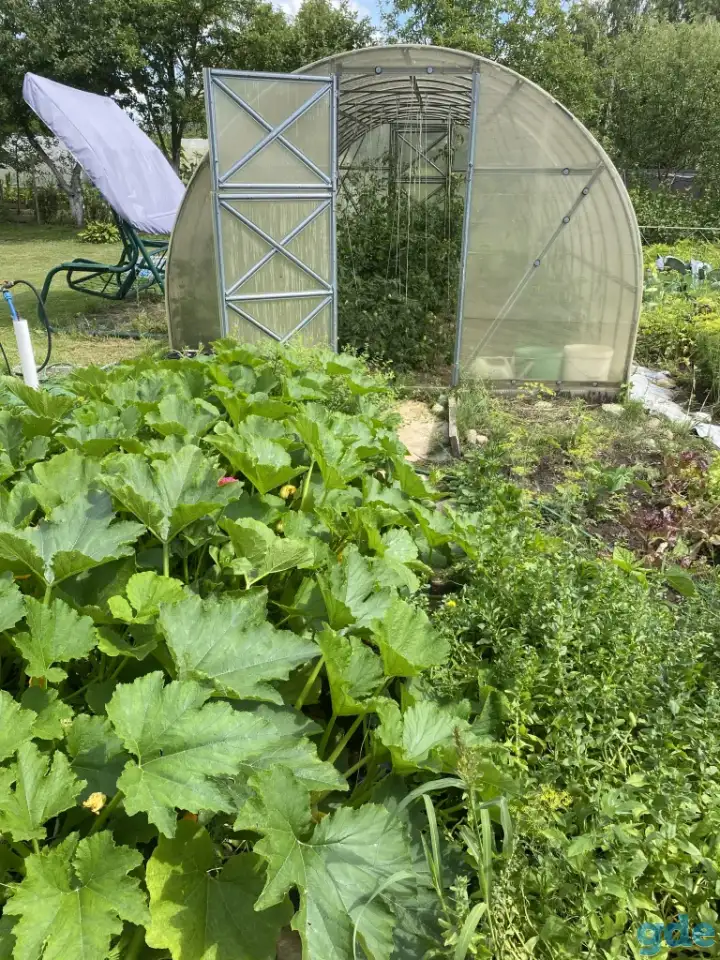 Продажа дачи, обл., Пуховичский р/н , с/с Дричинский, с/т МАРА, фотография 3