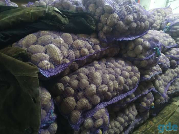 Продам картошку 0,25 руб. за 1 кг, фотография 4