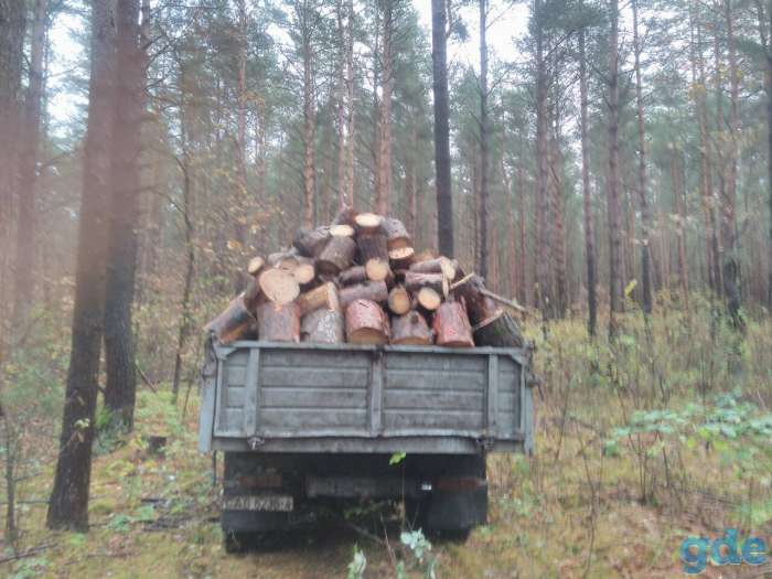 Дрова, фотография 1