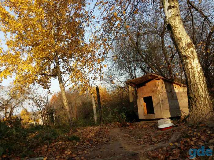 будку для собаки в дар, фотография 4