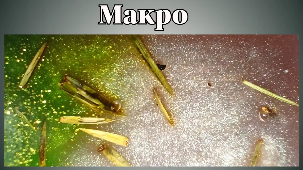 Мыло ручной работы с экстрактом сосны, фотография 2