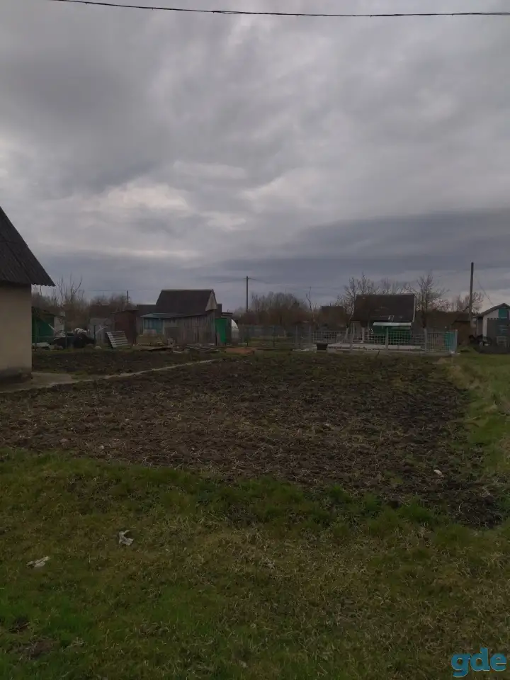 Дача, Гродненская обл. Козье горы