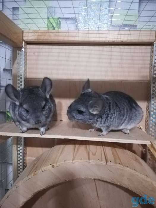 продаётся, фотография 1