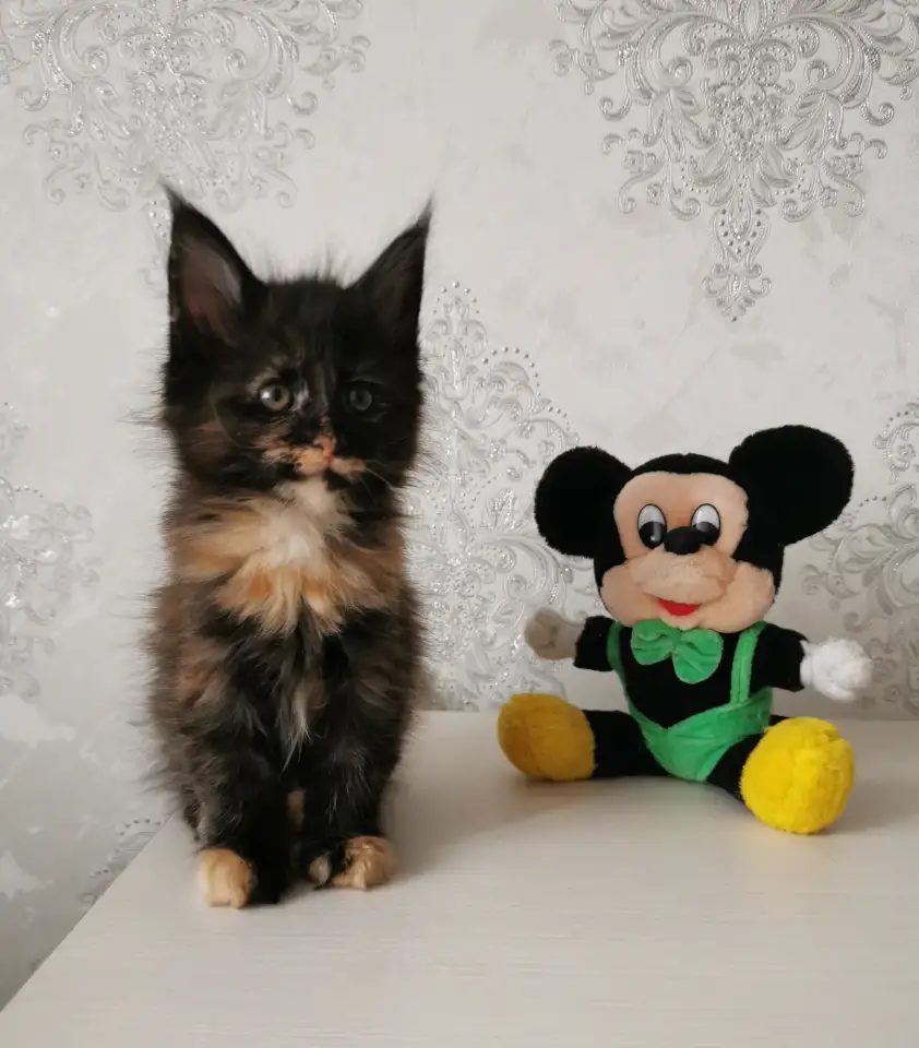 продаю, фотография 6