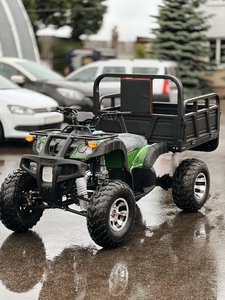 Квадроцикл грузовой atv storm panther, фотография 3