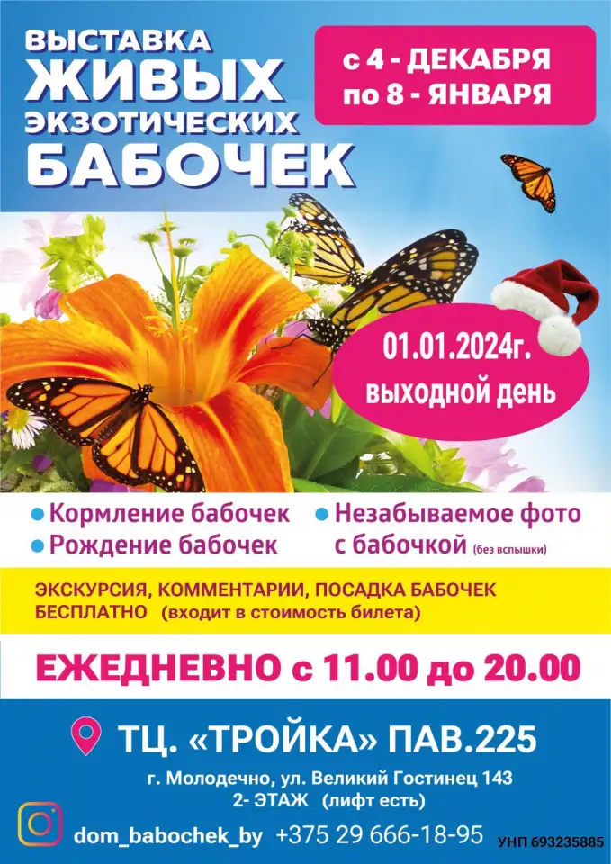 Выставка ЖИВЫХ ТРОПИЧЕСКИХ БАБОЧЕК, фотография 1