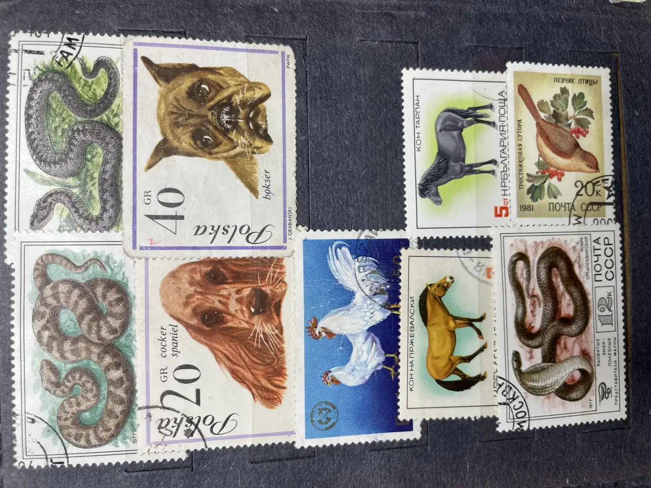 Продам марки , отправлю почтой, фотография 3