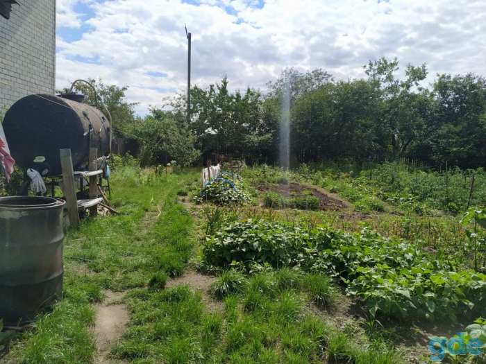 Продаю дачный участок в д. Новая Буда, Гомельский район, фотография 5