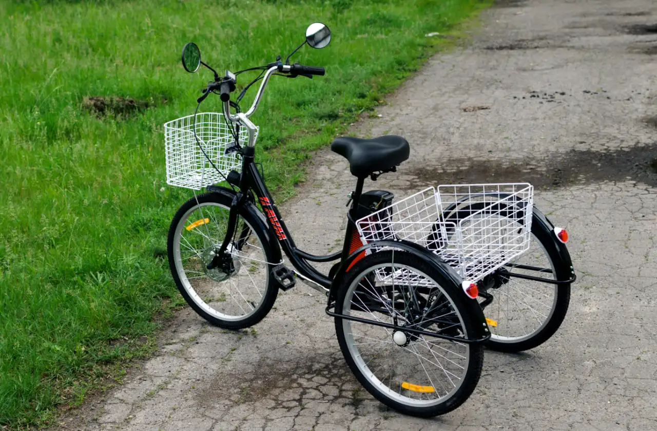 Электровелосипед AVM E-ALFA TRIKE 24, фотография 8