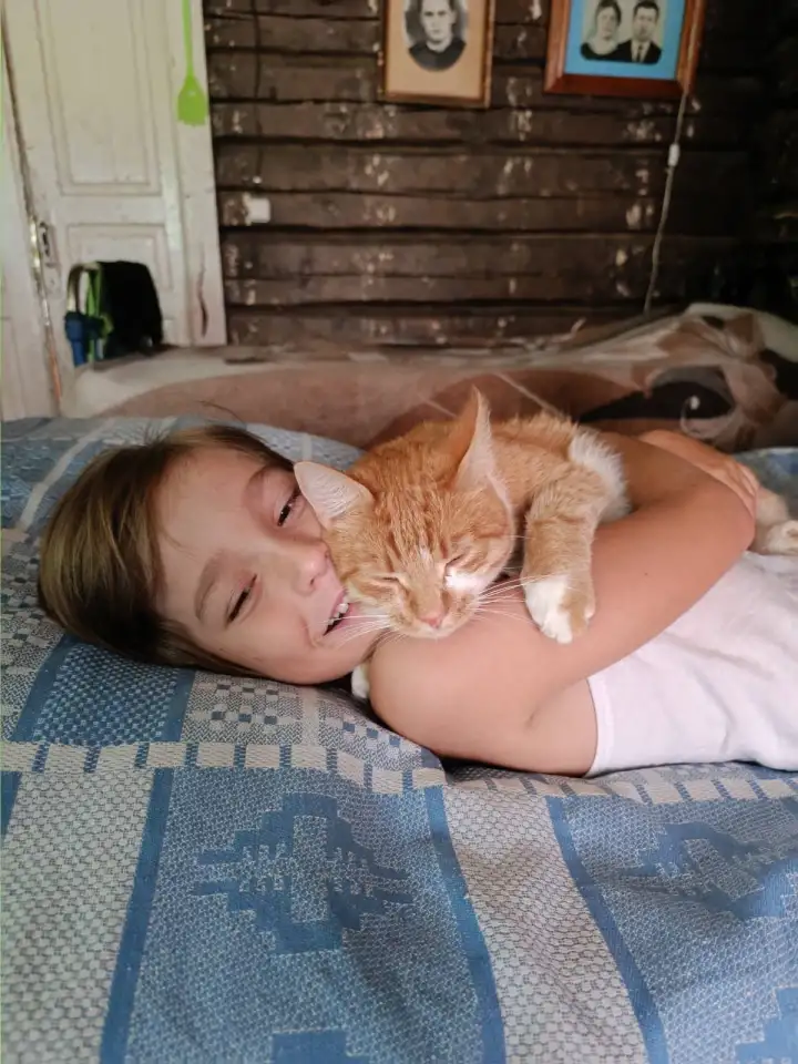 Кот Рыжик 4 года, домашний, фотография 2