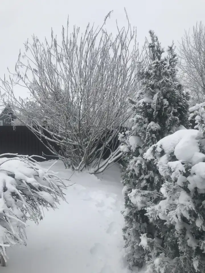 Комфортный и уютный коттедж ,совсем рядом с ГСК Логойск, фотография 10