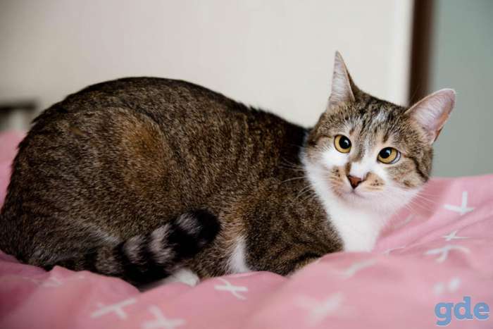 Кьюти-косоглазая красотка, фотография 3