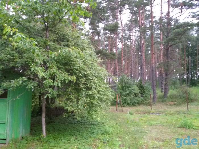 Продам дачу, СТ Родничок, Тарусичи, Гродненский район, фотография 4