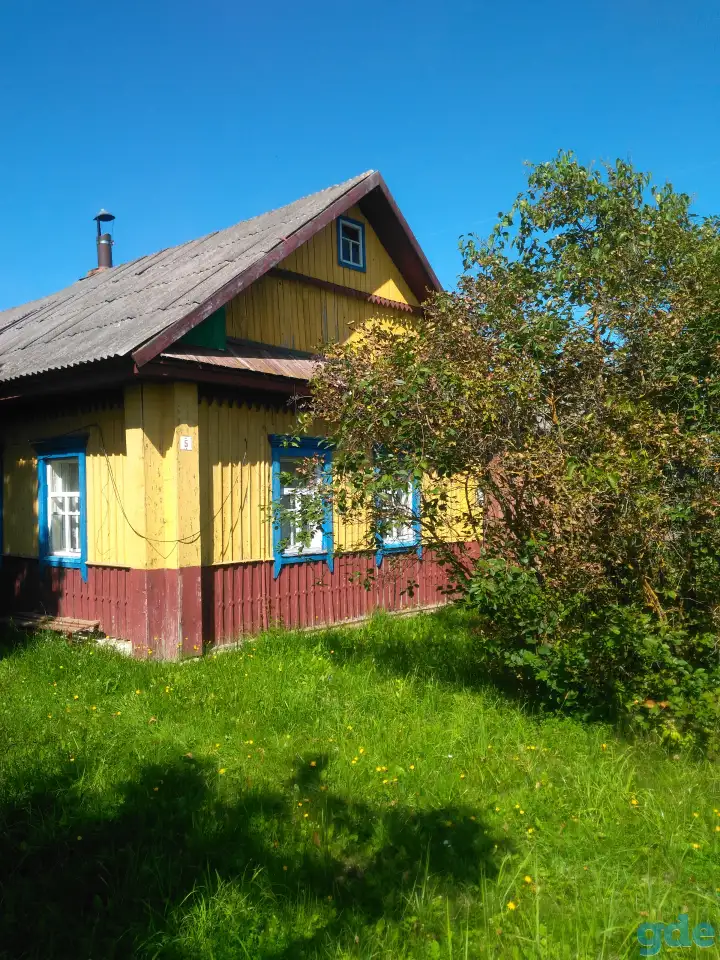 продам участок с домом в а.г. Черейщина Лепельский район, фотография 1