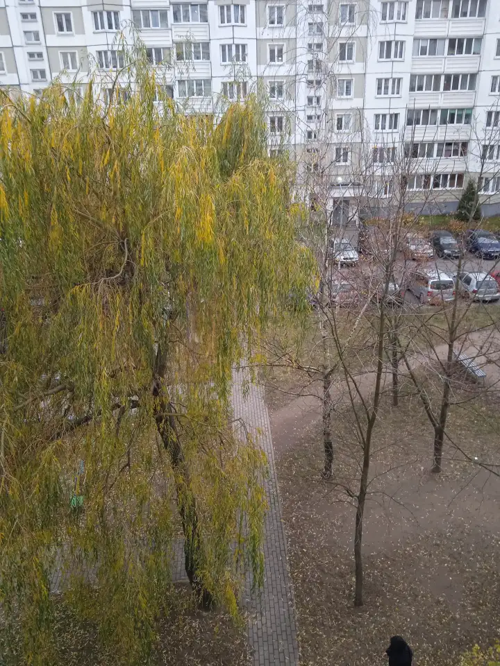 Квартира на длительный срок, Селицкого, 85, фотография 12