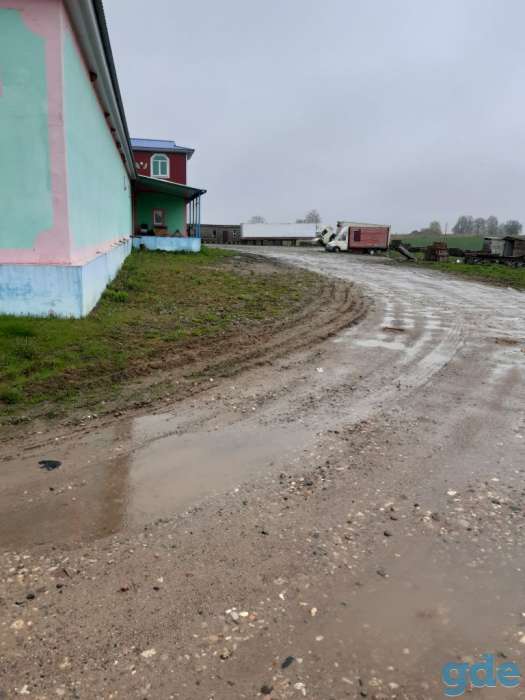 аренда склады, южный окраина пос селец 1, фотография 2