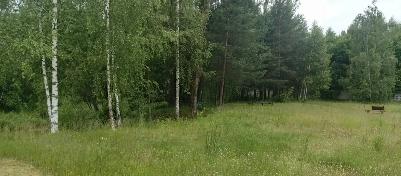 Продается производственный цех 1300 м на участке 2 га с озером и лесом, фотография 12