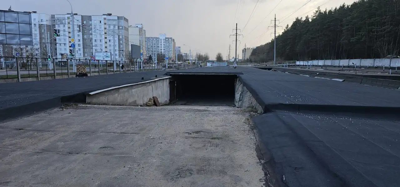 Гараж на улице Гинтовта 52, фотография 4