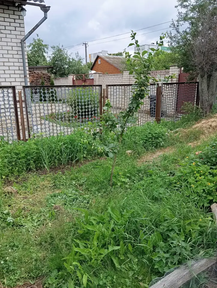 Продам забор бу, фотография 2