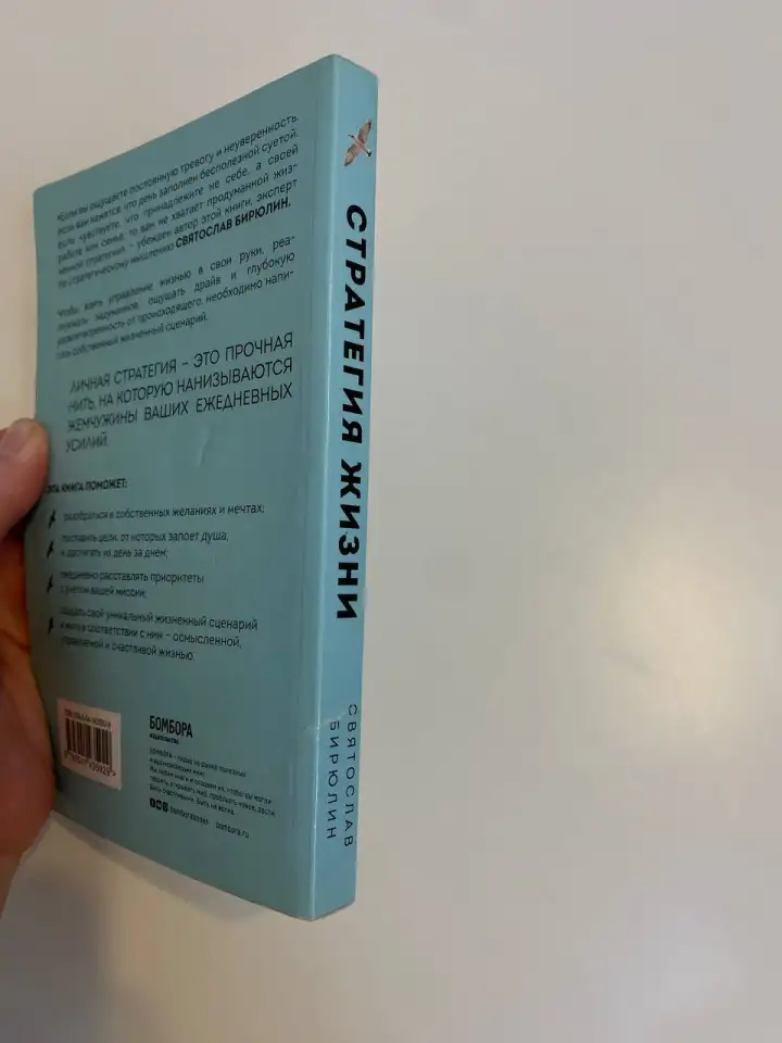 Книга стратегия жизни Святослав Бирюлин, фотография 5