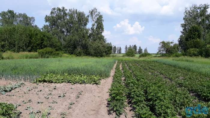 СРОЧНО!!! Продам дом, деревне Тейковичи, ул. Подлесная, фотография 4