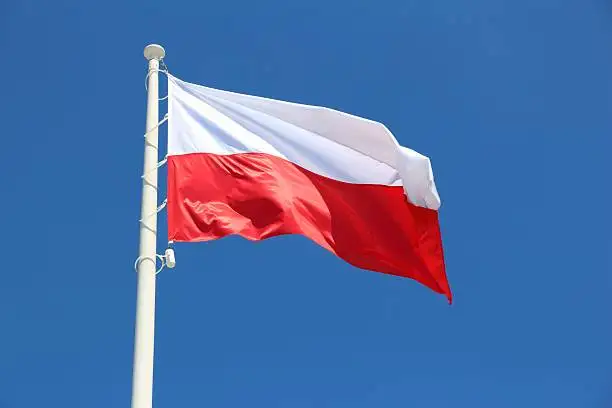 Помощь в регистрации визовых анкет в ВЦ Польши во все города РБ., фотография 1