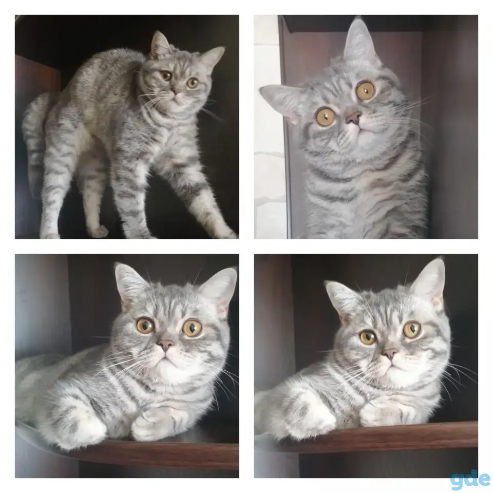 Нашлась!, фотография 1
