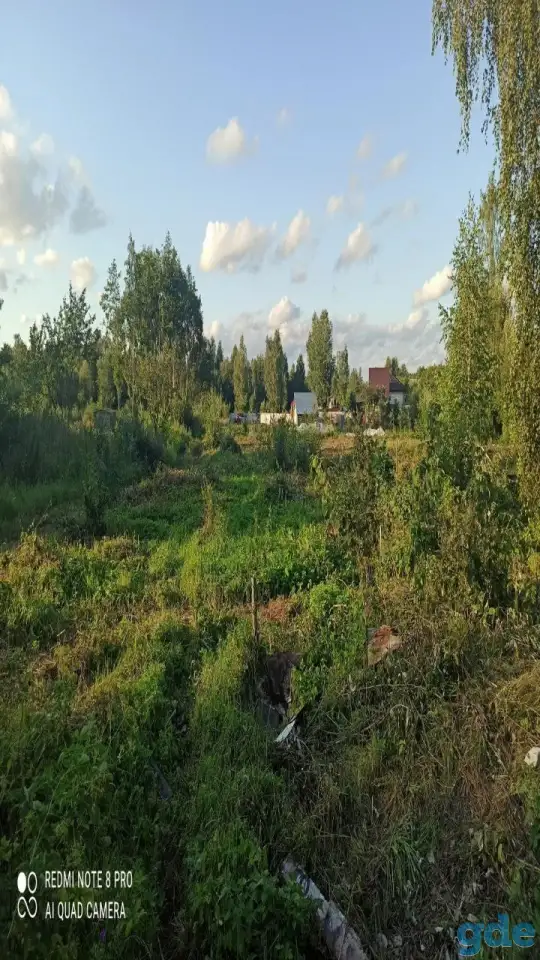 Дачный участок, Петушки Новики, фотография 7