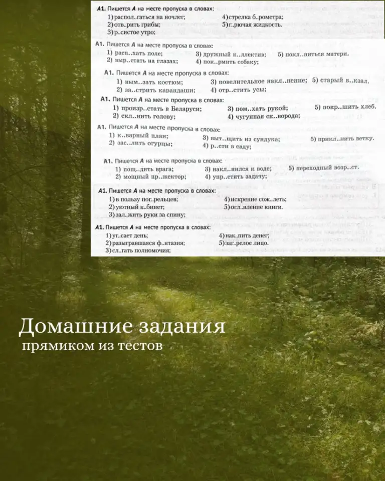 Русский язык ЦТ/ЦЭ Онлайн, фотография 5