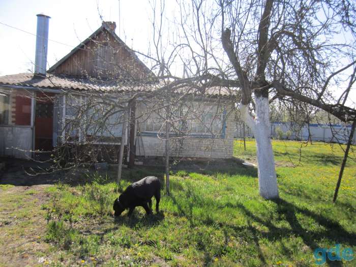 Срочно продам дом, ул. Ломоносова д.43, фотография 2