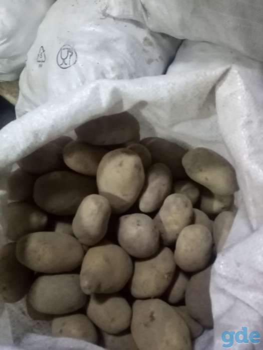 Продам картошку 0,25 руб. за 1 кг, фотография 2