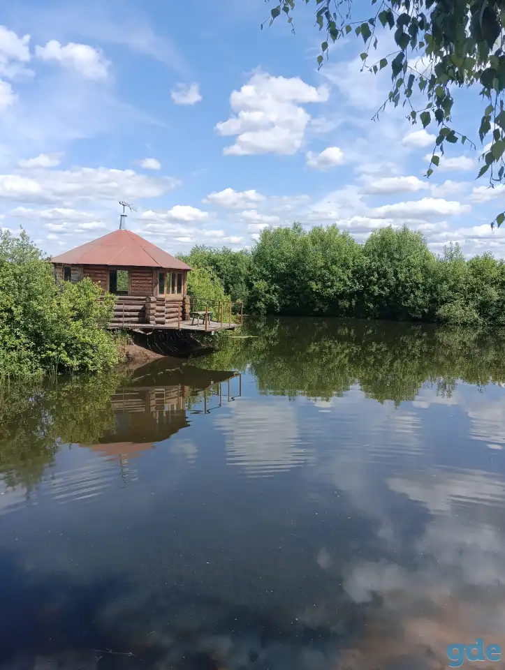 БАНЯ на дровах, рыбалка, дом на сутки., фотография 12